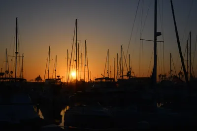 DSC_7309 (Large).JPG